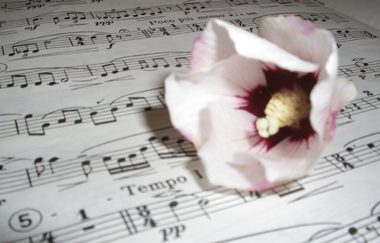 La petite musique des mots